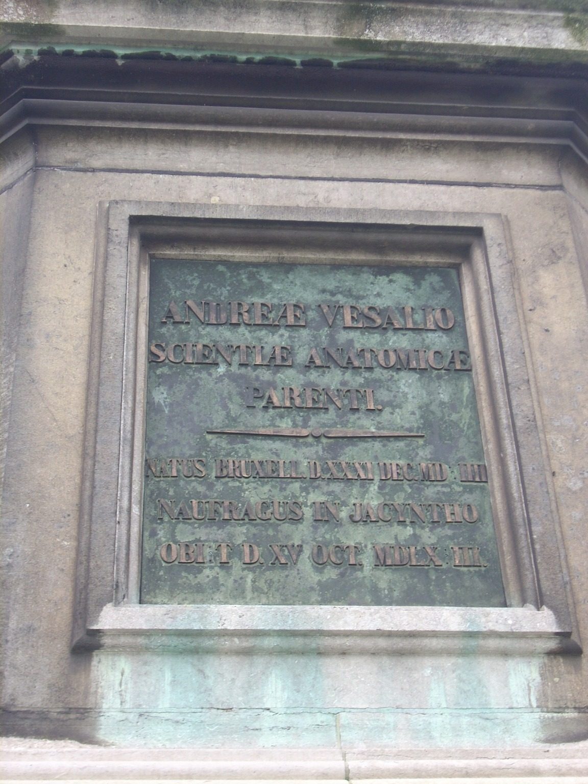 Andreas Vesalius monument, Brussels - 4.JPG
